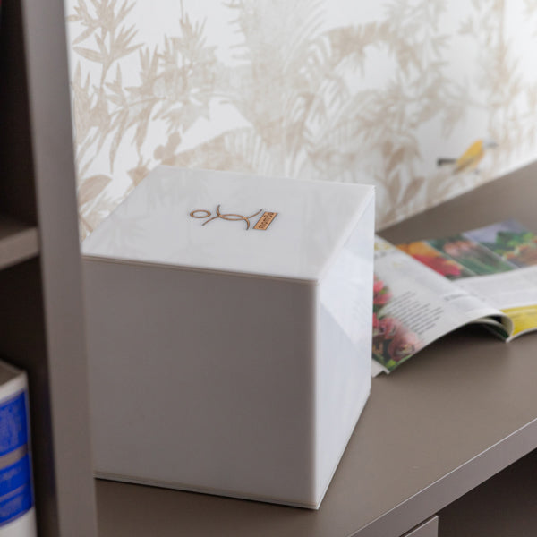 Mom Correcteur de l'environnement